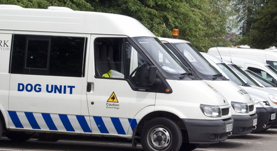 Security Services
