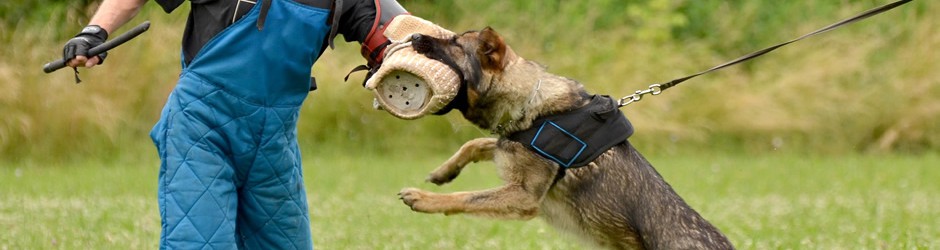 Security Dogs from Hallmark Security